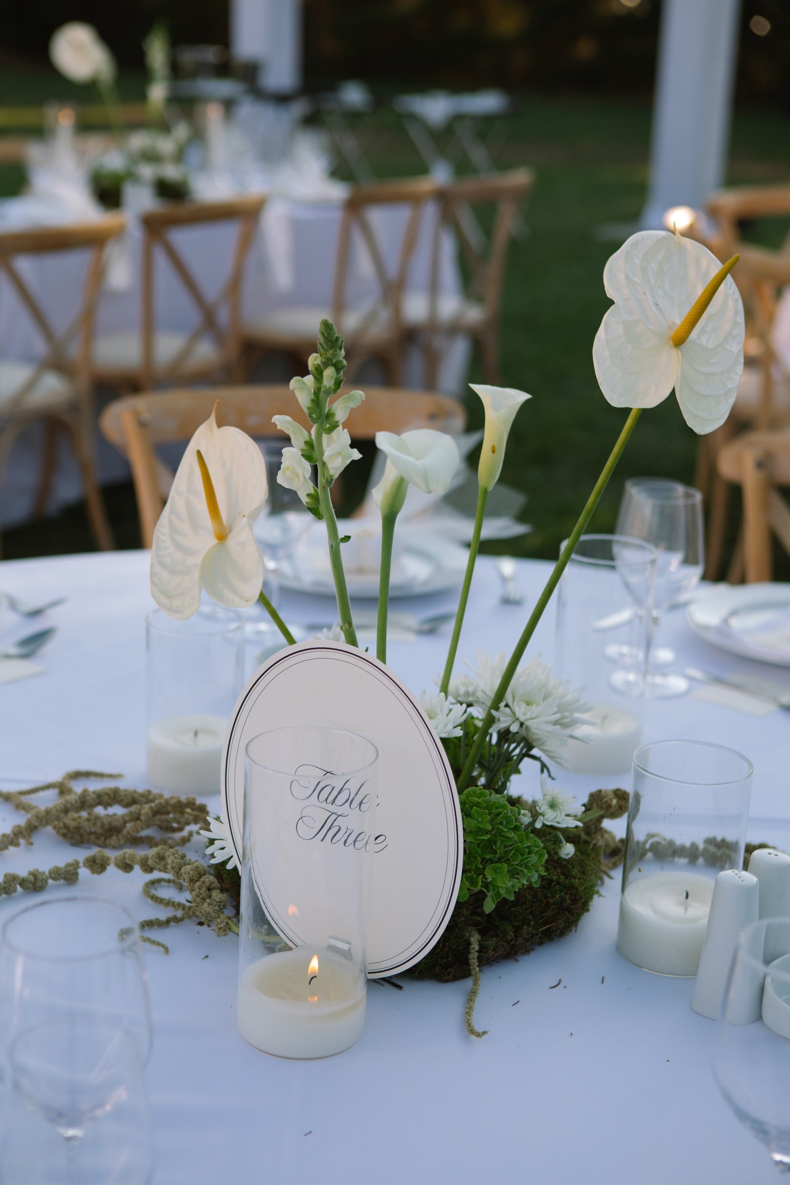STEPHANIE + JOHN, photo 17